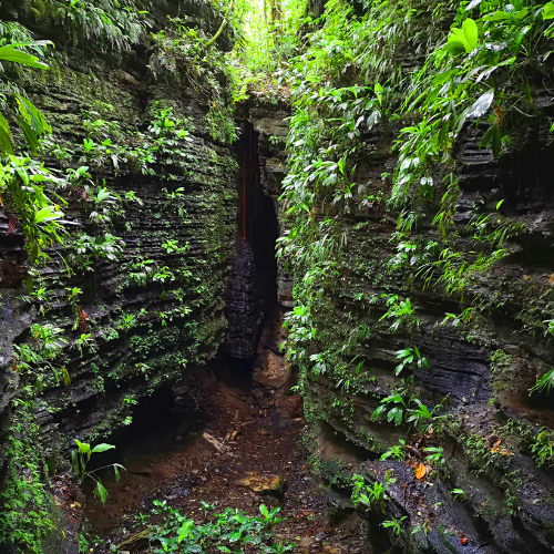 Geoparque Napo Sumaco