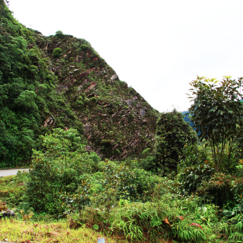 Geoparque Napo Sumaco