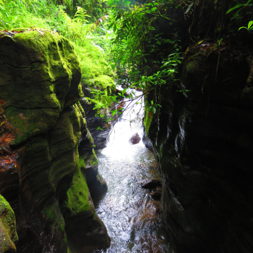 Geoparque Napo Sumaco